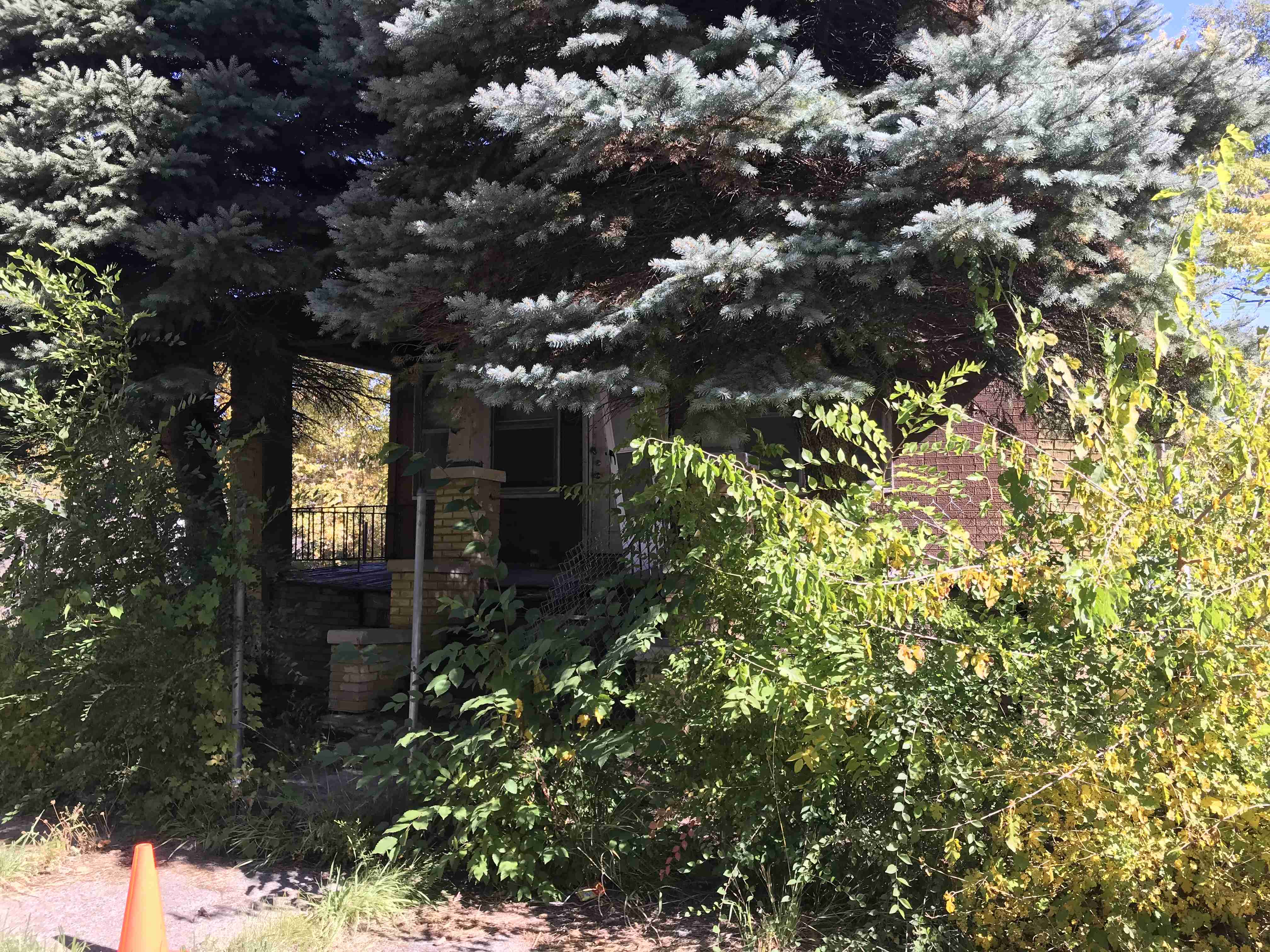 Photo Oct 13, 12 23 29 PM (1).jpg